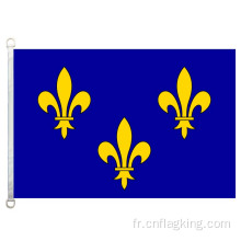 drapeau ile-de-france 100% polyester 90*150cm